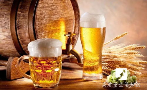 盘锦酒桌规矩解密 1杯白酒到底等于多少瓶啤酒？