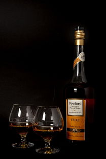 苹果白兰地 节日酒吧中的精致酒精饮料