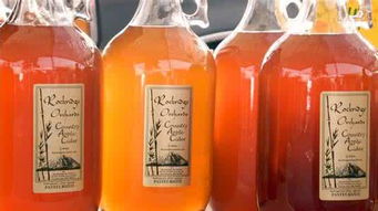 气泡型酒精饮料柠檬堂 日本啤酒业的新劲敌与酒精饮料市场变革